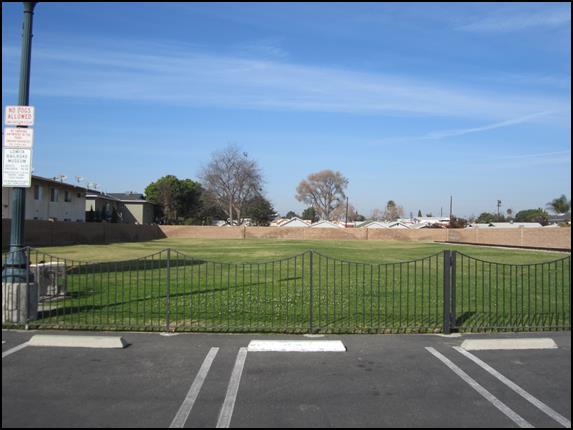 View of grassy area at Irene Lewis Park with parking spots