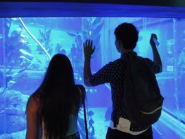 Two students standing in front of an aquarium in Japan