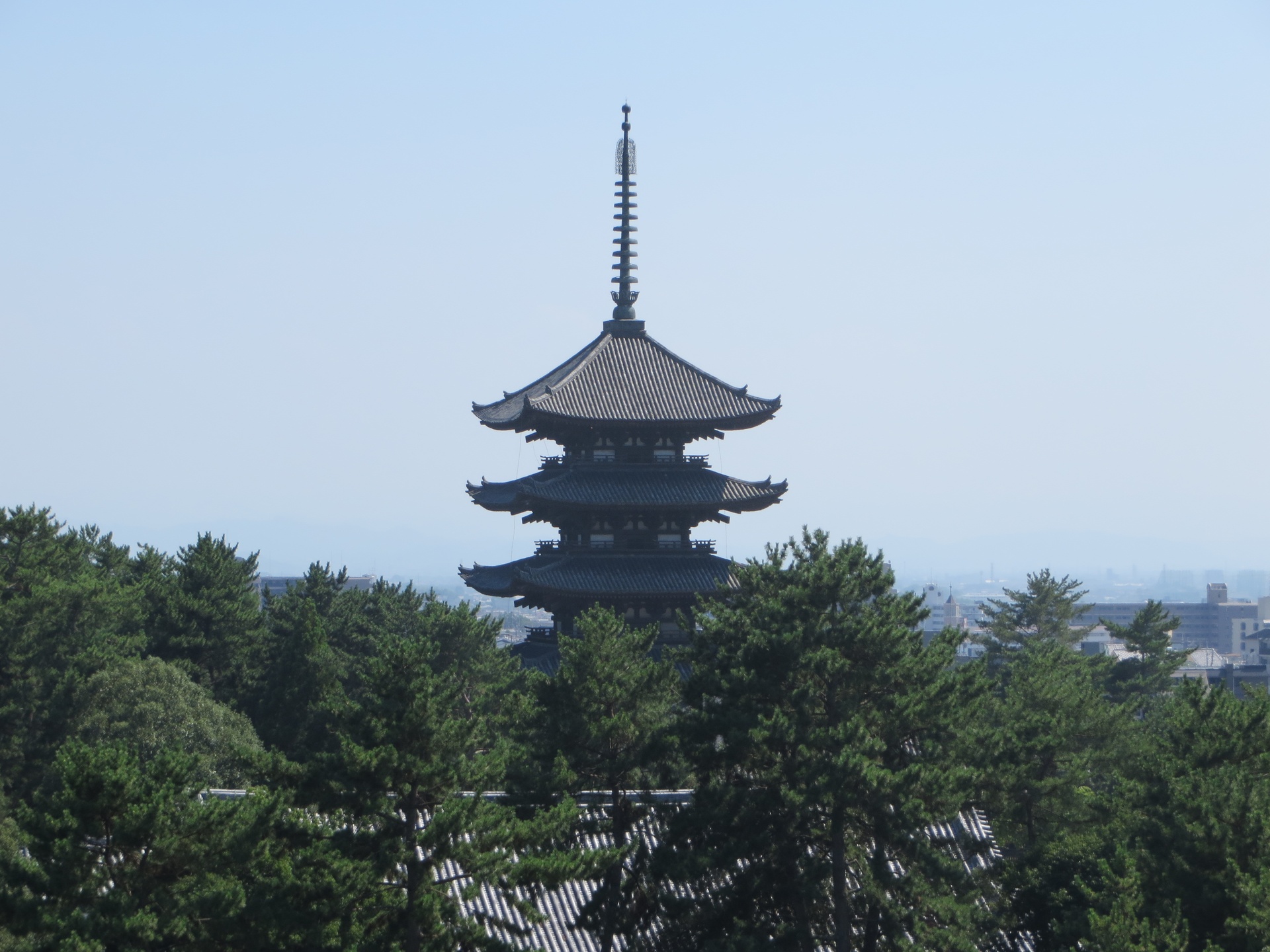 View of the top of a Japanese temple rising out green trees