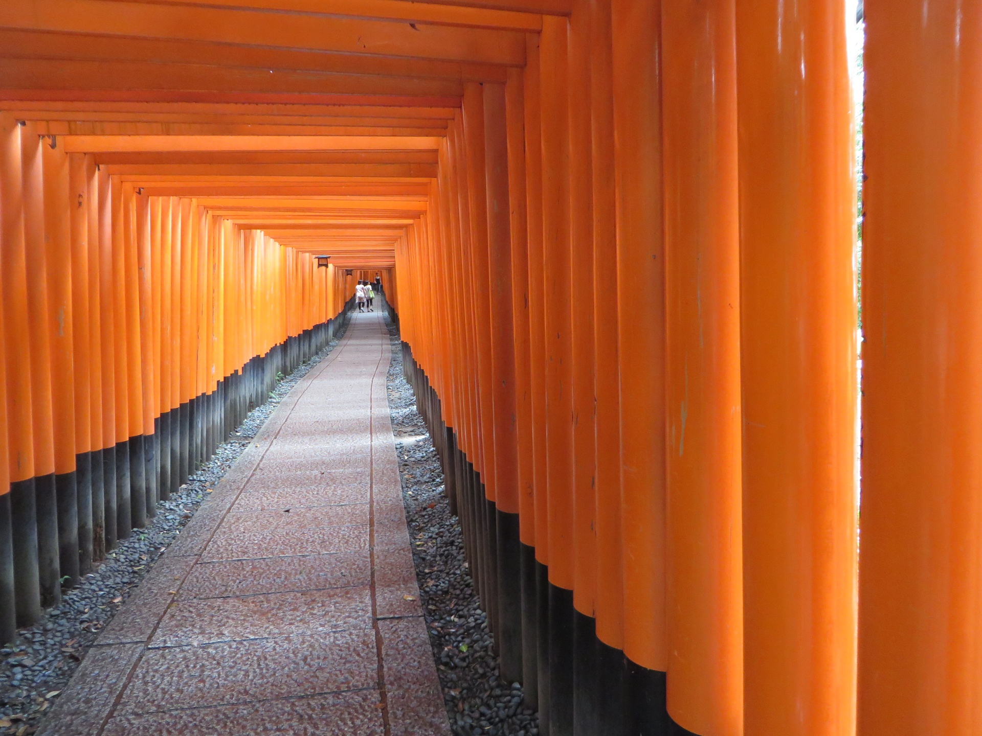 View of walkway with orange pillars lining sidewalk at the Fushimi Inari-taisha Shrine