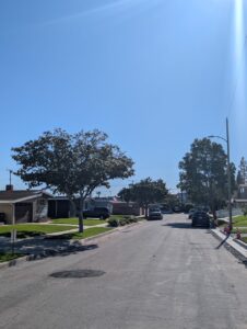 Finished gutters on street