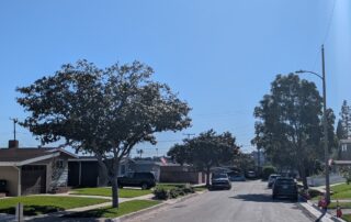 Finished gutters on street