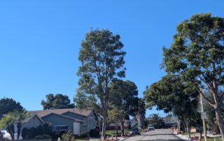 Completed gutters on street